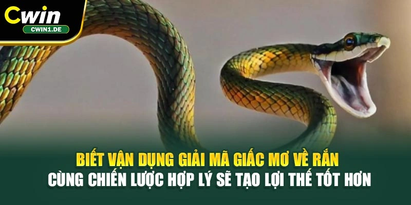 Biết vận dụng giải mã giấc mơ về rắn cùng chiến lược hợp lý sẽ tạo lợi thế tốt hơn
