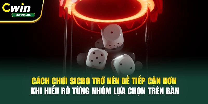 Cách chơi Sicbo trở nên dễ tiếp cận hơn khi hiểu rõ từng nhóm lựa chọn trên bàn