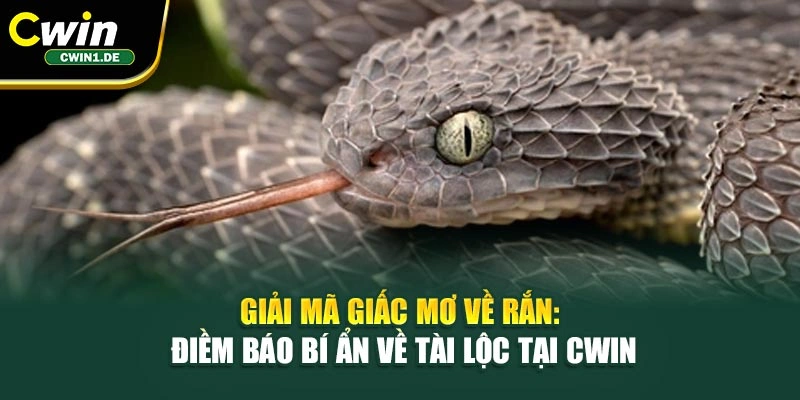 Giải Mã Giấc Mơ Về Rắn: Điềm Báo Bí Ẩn Về Tài Lộc Tại Cwin