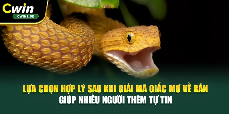Lựa chọn hợp lý sau khi giải mã giấc mơ về rắn giúp nhiều người thêm tự tin