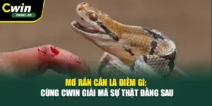 Mơ Rắn Cắn Là Điềm Gì: Cùng Cwin Giải Mã Sự Thật Đằng Sau