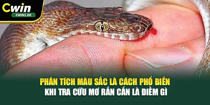 Phân tích màu sắc là cách phổ biến khi tra cứu mơ rắn cắn là điềm gì